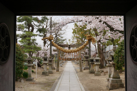 山田神社の桜130402-03