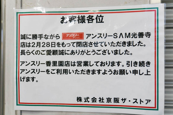 アンスリー-1803011