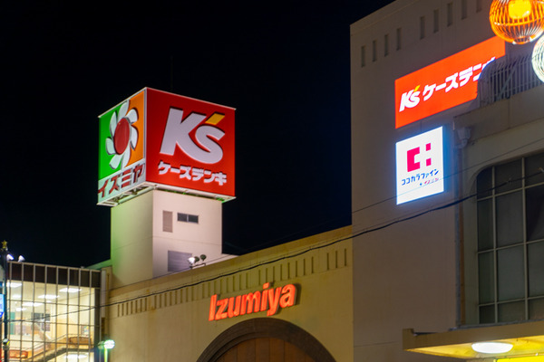 イズミヤ-2011142