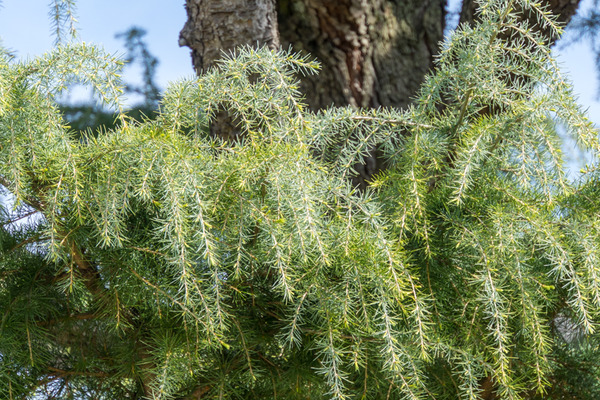 楠葉中町-2004074