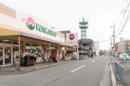 ワカバ-15030305