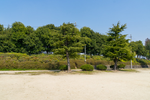 阪今池公園-20040820