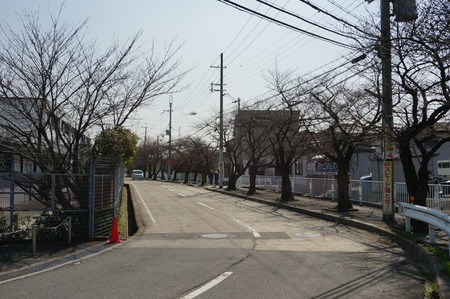 津田東自転車駐輪場130319-07