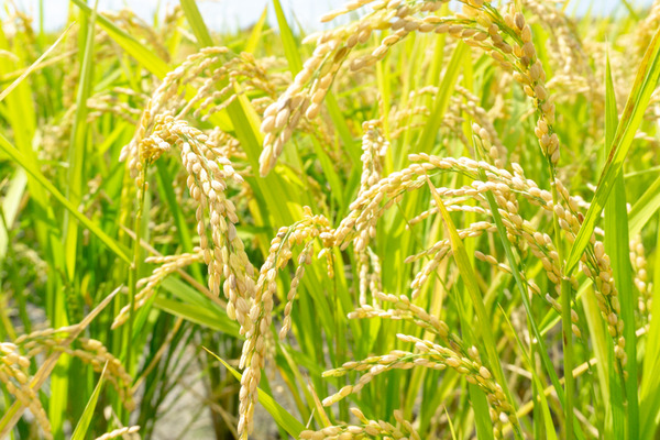 20200928京阪百貨店(小)-13