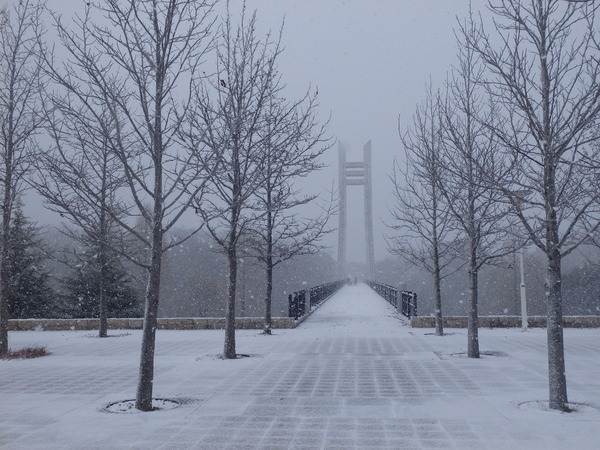 雪の美月橋