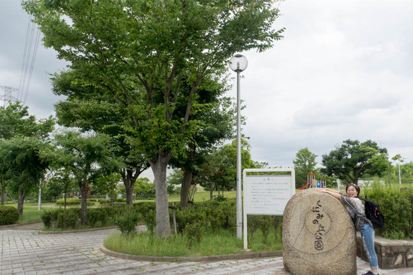 くにみの丘公園-1806281