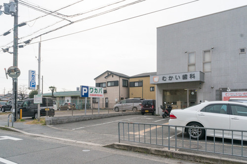 ワカバ-15030306