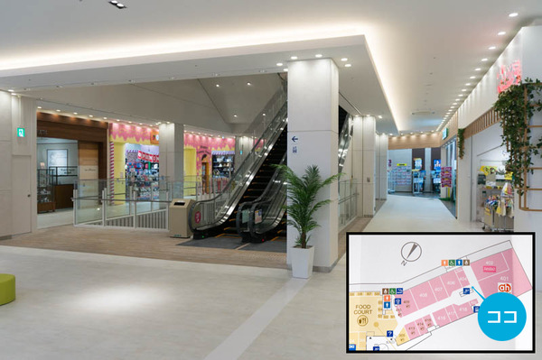 サウスコート-1604193