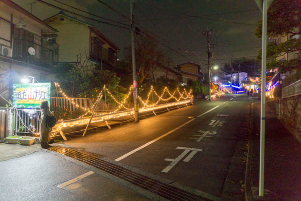 山ナリエ-1612091