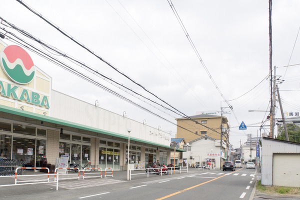 ワカバ-16030703