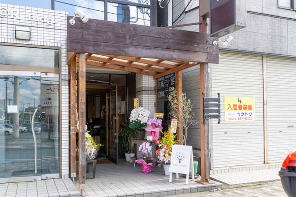 まめのき-19101515