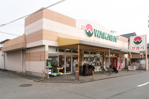 ワカバ-15030304