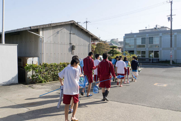 ぴー太郎-1804134