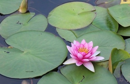 120915弟子えもん2