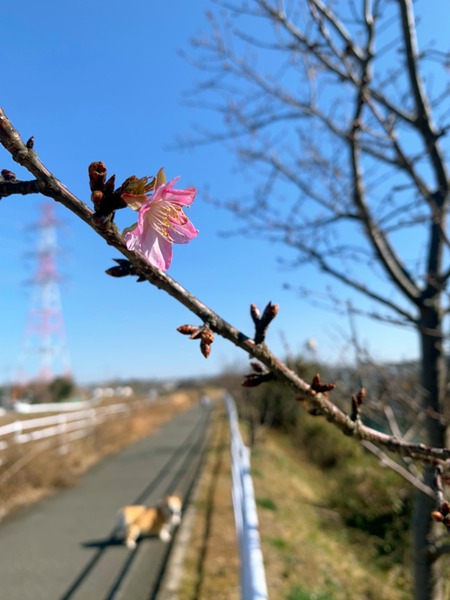 25A8597B-C9F5-4894-889E-75A4A29418C4