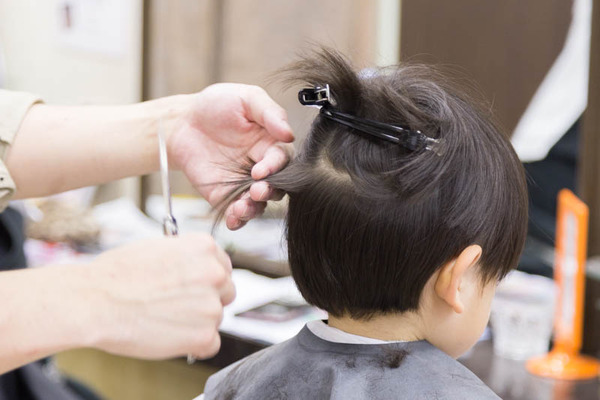 アンズ-18042831