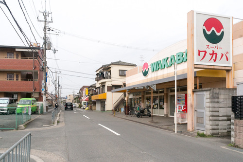 ワカバ-15030301