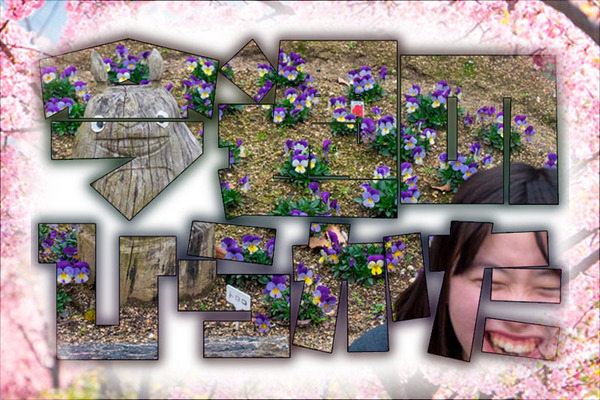 今週のひらかた