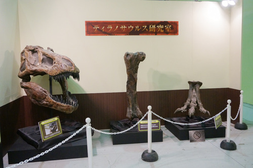 ひらパー恐竜大冒険-29