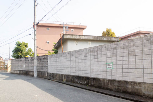 ひらこう-20111612