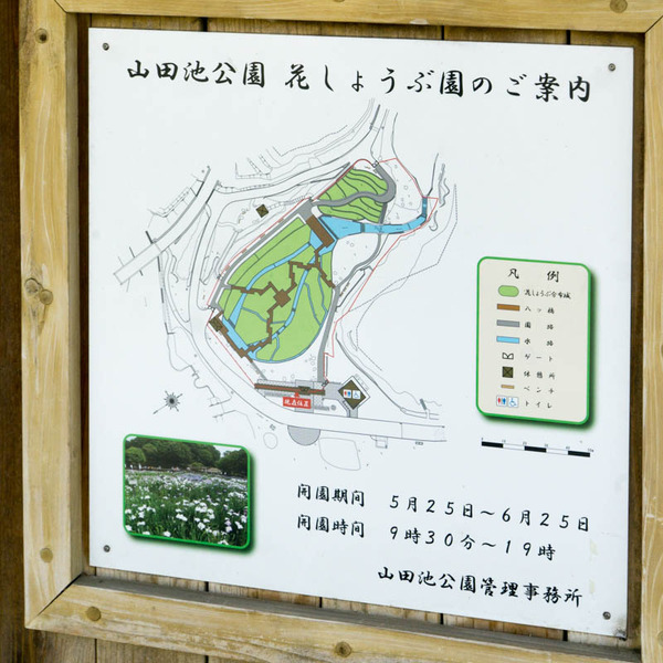 山田池公園-1805252