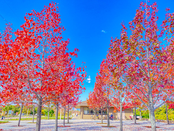 名称未設定202011031