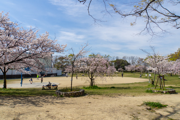 楠葉東公園-2004074