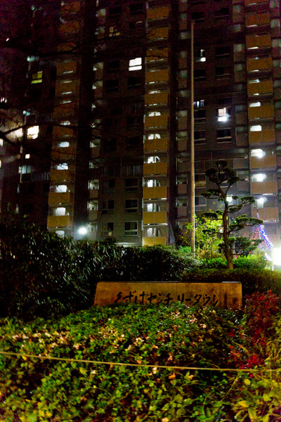 くずはイルミネーション-16122010