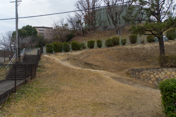 末広公園-20022513