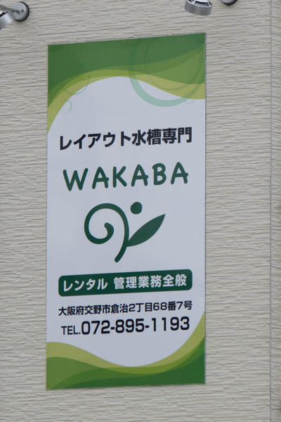 WAKABA-16061511