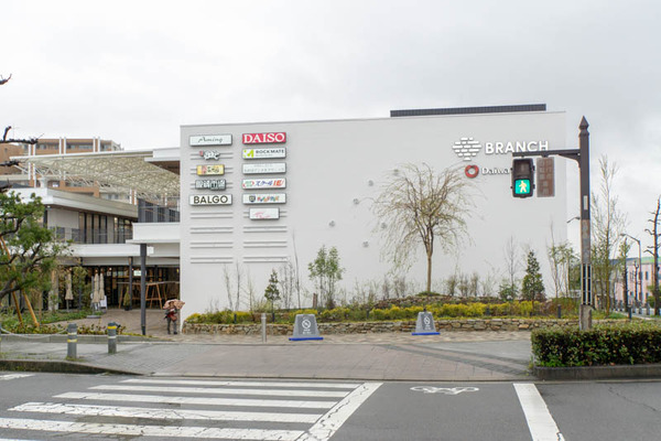 ブランチ-1904101