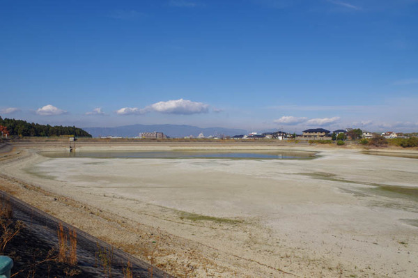 クイズ-2012111