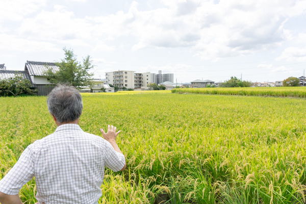 20200928京阪百貨店(小)-8