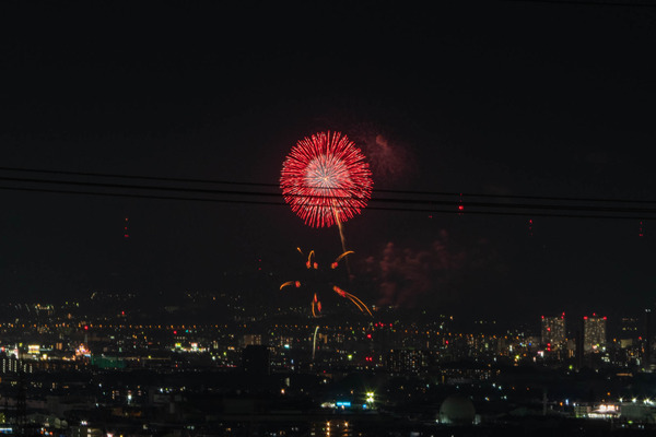 サイエンス-2008307