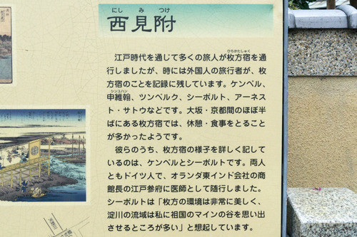 アーネスト-15091701