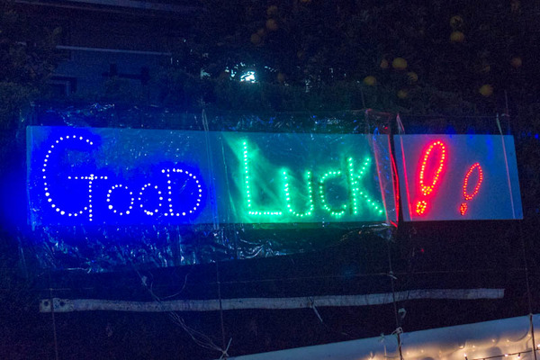 山ナリエ-1612093