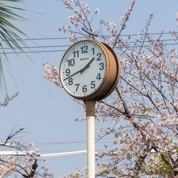 牧野公園-20040812