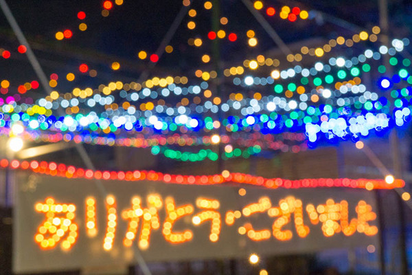 山ナリエ-1612098