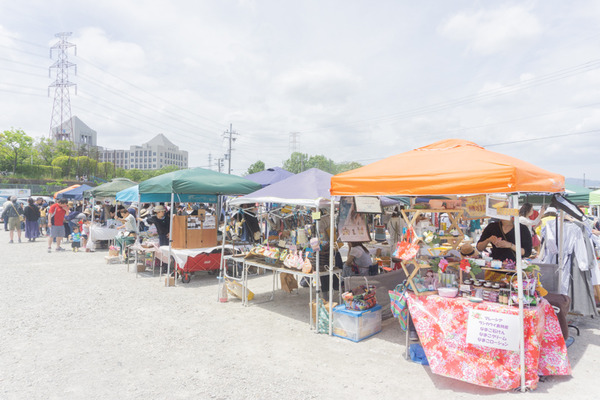 ひらかぐレポ小-32