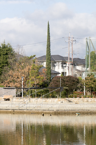 市民の森-16010715