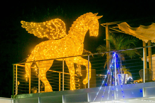 長尾北町-1612012