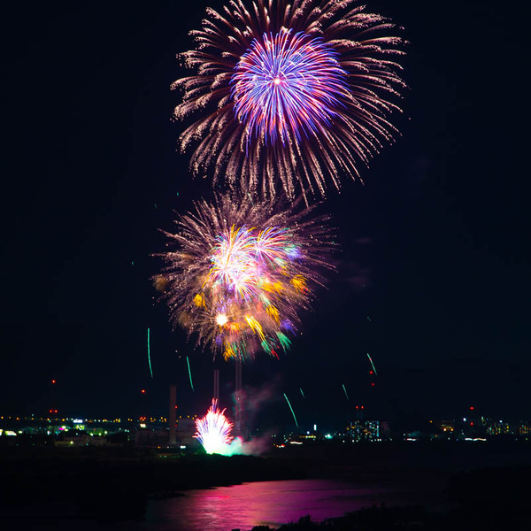 hanabi-2008304