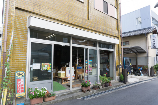 パルの木爆買いツアー-51