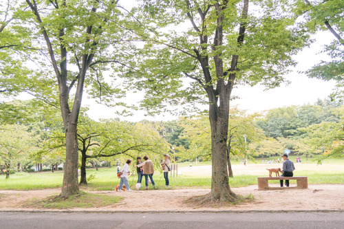 くずはワイン6