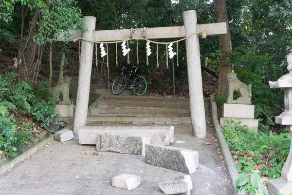 意賀美神社-1806183