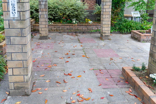 伊加賀公園-20110721