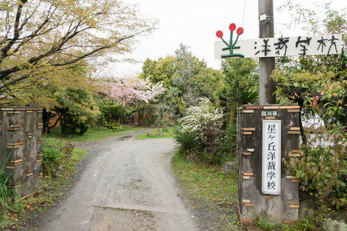 桜花祭2015-29