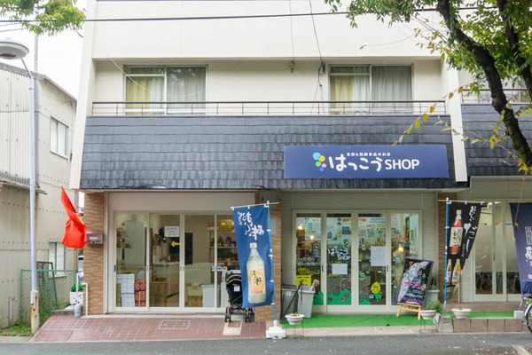 ベトナム-2010052