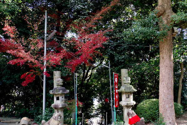 山田神社-15121902