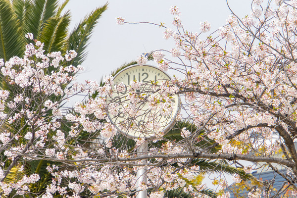 やまはら公園-20040713